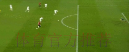 世界杯比分网页版热门动态分析